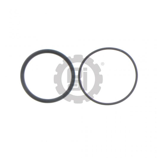 O-Ring Kit Mack 24433898, 8609-EHL243